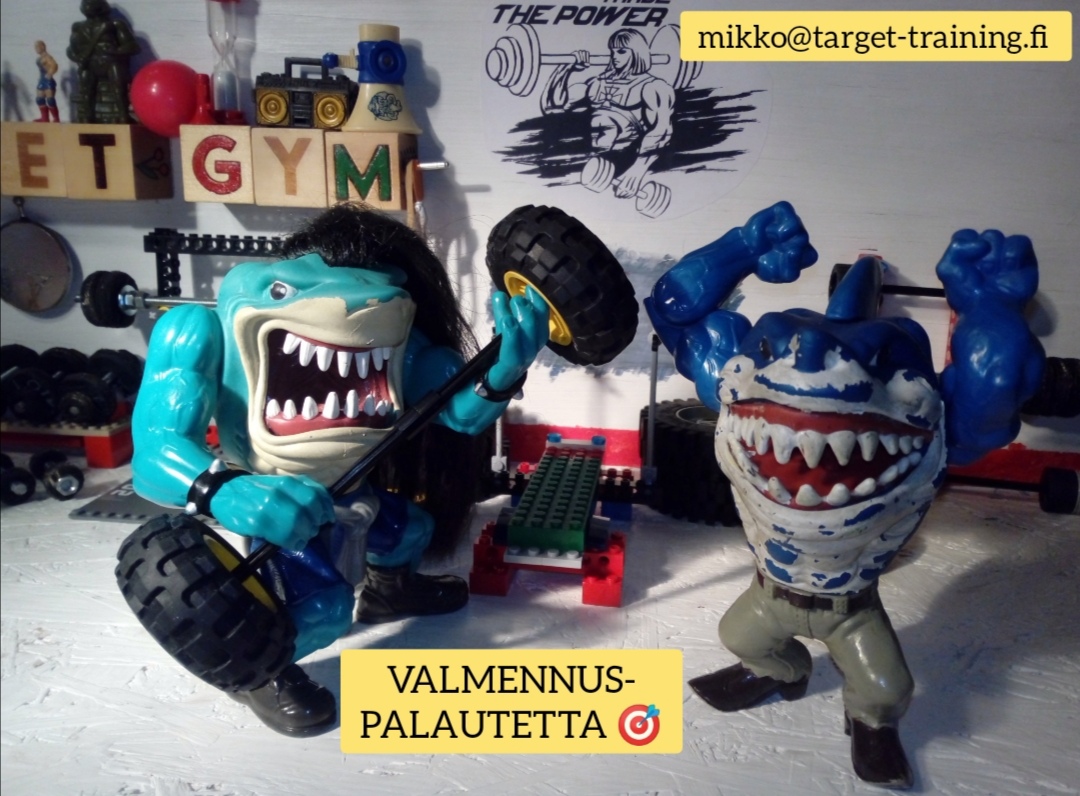 Valmennuspalaute